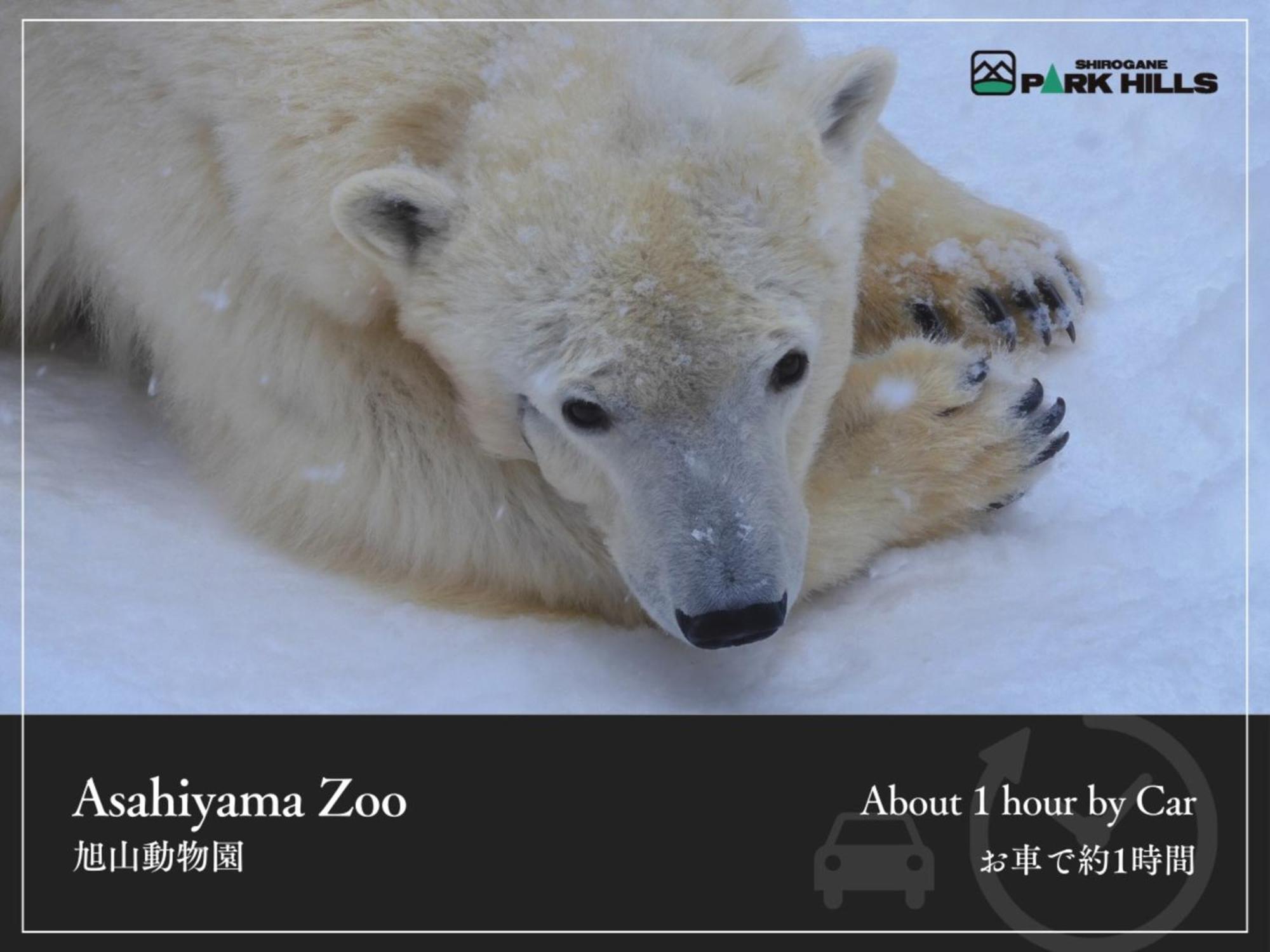 Biei Shirogane Onsen Hotel Park Hills المظهر الخارجي الصورة